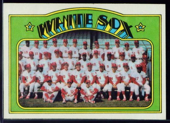 381 White Sox Team